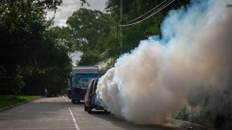 Dengue: estos son los barrios que serán fumigados por la tarde