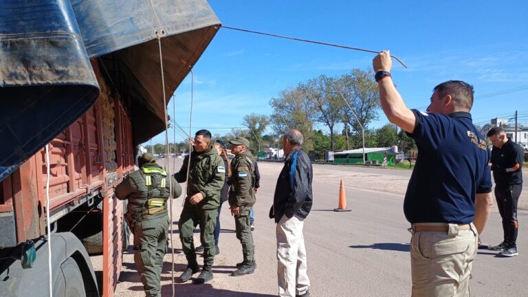 Córdoba: detuvieron inmigrantes ilegales en localidades del interior provincial